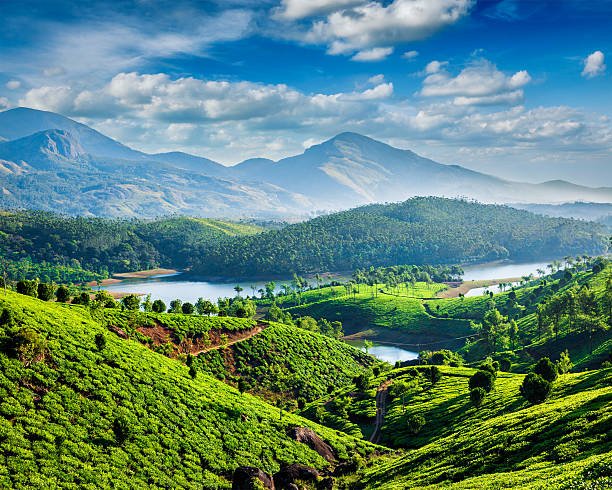 Top 5 holiday destinations in Kerala
