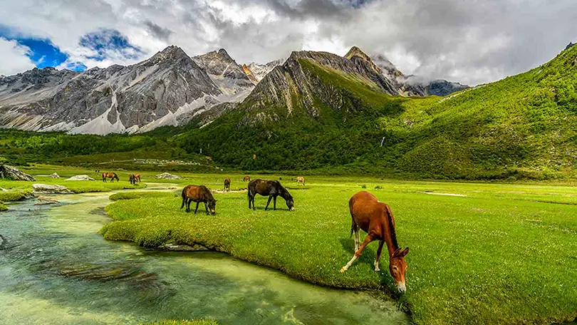 Best travel and tour agency in kerala